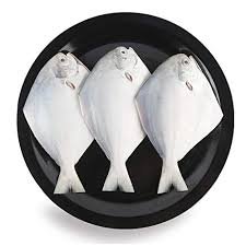 Frozen Pomfret